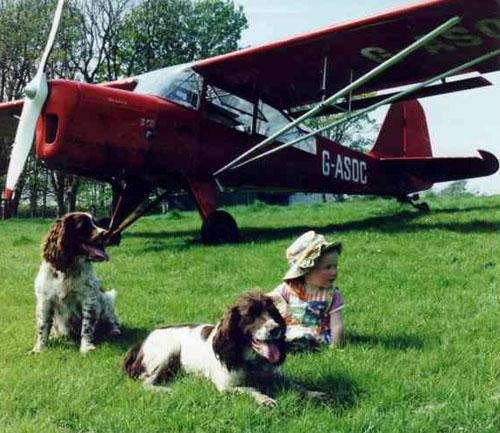 Auster Tugmaster Gen Dogs
